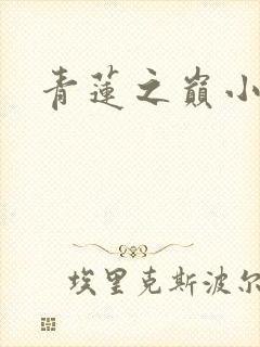 青莲之巅小说