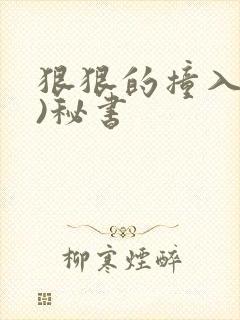 狠狠的撞入(h)秘书