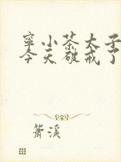 宁小茶太子殿下今天破戒了吗免费阅读