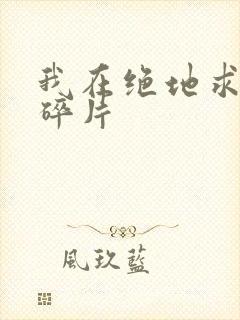 我在绝地求生捡碎片