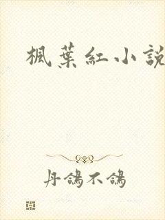 枫叶红小说封面