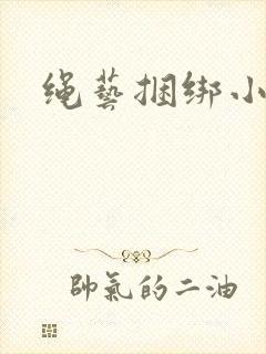 绳艺捆绑小说封面