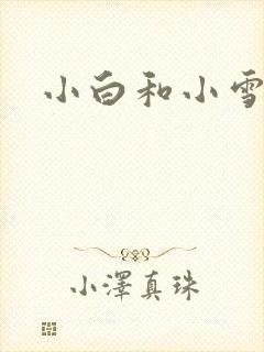 小白和小雪封面