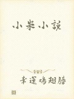 小米小说
