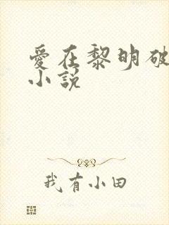 爱在黎明破晓前小说