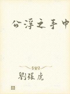 公浮之手中字5