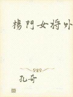 杨门女将外传封面