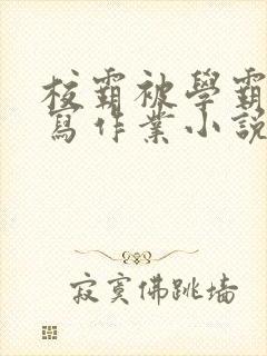 校霸被学霸压着写作业小说封面