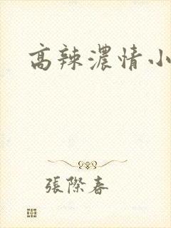 高辣浓情小说
