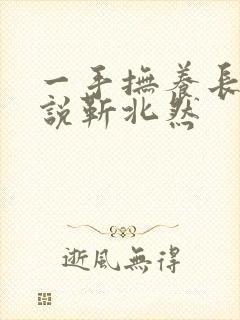 一手抚养长大小说靳北然封面