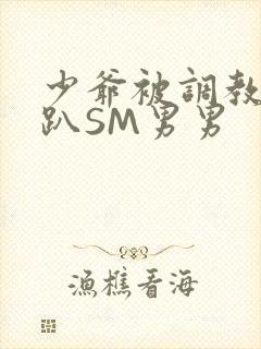 少爷被调教室跪趴SM男男