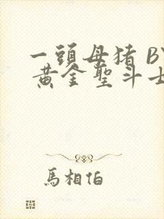 一头母猪 BY 黄金圣斗士