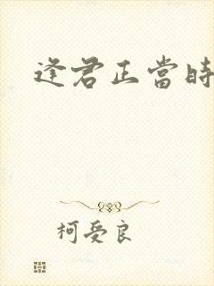 逢君正当时封面