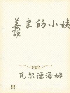 善良的小姨子小说