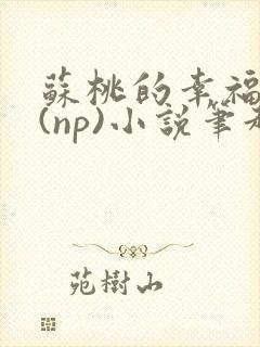 苏桃的幸福生活(np)小说笔趣阁沐沐