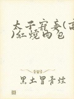 太子宠妾(高肉)红烧肉包