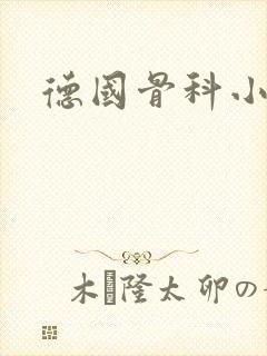 德国骨科小说封面