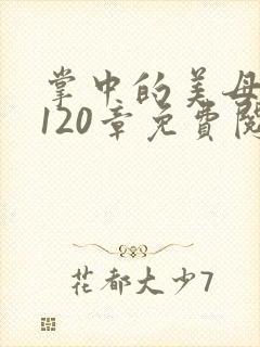 掌中的美母版主120章免费阅读