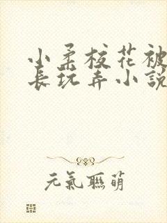 小柔校花被老校长玩弄小说封面