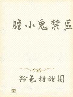 胆小鬼禁区封面