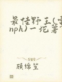 最佳野王(电竞nph)一坨薯饼