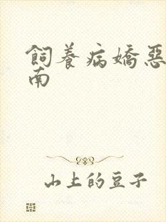 饲养病娇恶龙指南