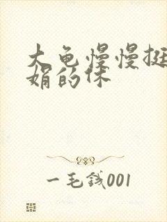 大龟慢慢挺进张娟的休