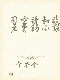 司空靖和苏月汐免费的小说笔趣阁封面