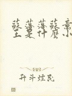 苏落落苏意瑶睿王是什么小说封面