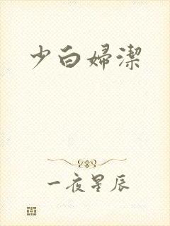 少白妇洁封面