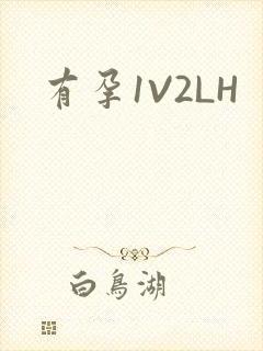 有孕1V2LH