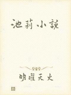 池莉小说