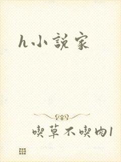 h小说家