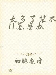 太多了装不下h11怎么办封面