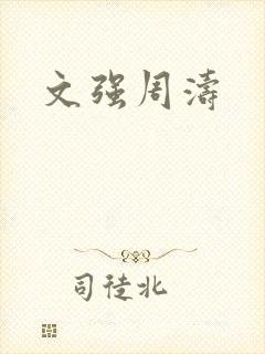 文强周涛