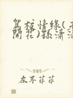 驾校情缘(老树开花)孙潇潇第一次趣笔阁