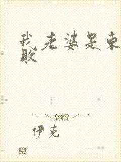 我老婆是东方不败