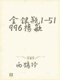 金银瓶1-51996杨敏封面