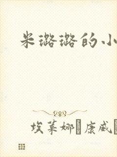 米璐璐的小说