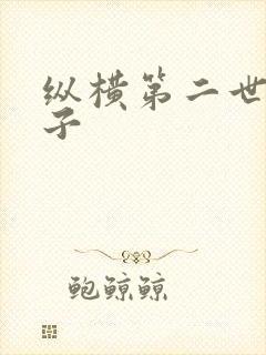 纵横第二世界宽子