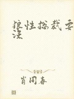 狼性总裁要够了没
