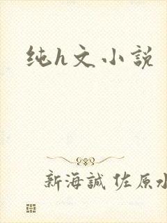 纯h文小说