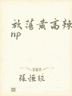 放荡黄高辣h文np