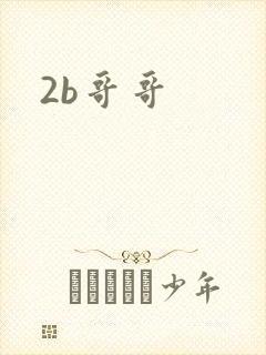 2b哥哥