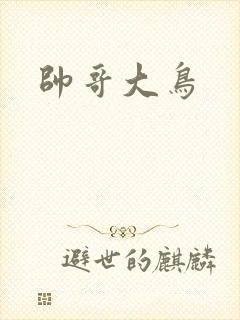 帅哥大鸟封面