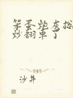 笨蛋炮灰总被爆炒翻车了