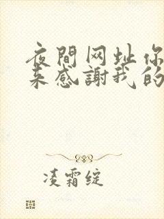 夜间网址你会回来感谢我的