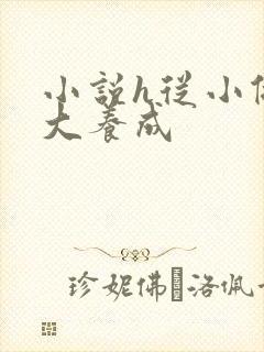 小说h从小做到大养成