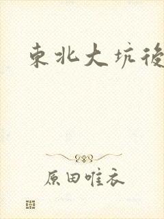 东北大坑后续2封面