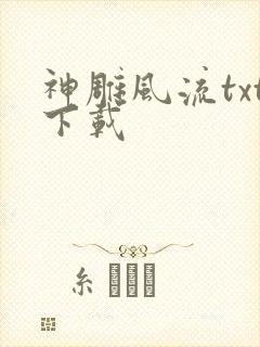 神雕风流txt下载